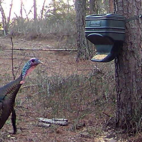Hunting Event Tractor Supply Co.