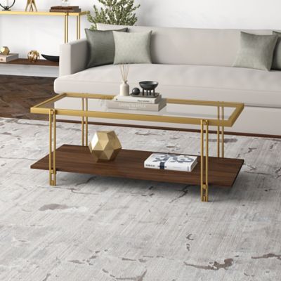 Hudson&Canal Rectangular Coffee Table, 45 in., Gold Brown