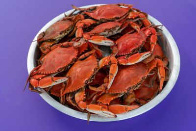 Image showing  15 in. Steel Crab Tongs