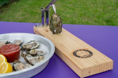 Image showing  Oyster Opener with Knife