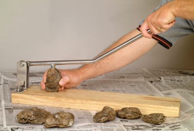 Image showing  Oyster Opener with Knife