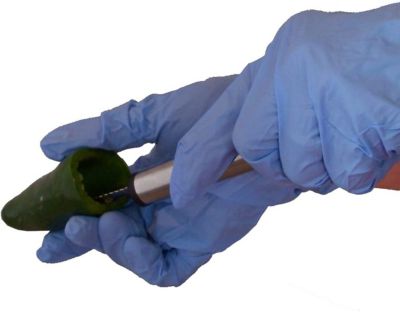 Image showing  Jalapeno Rack with Corer Tool