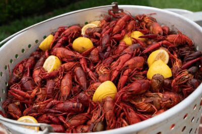 Image showing 5 th King Kooker Aluminum Boiling Pot with Drain Valve, 100 qt.