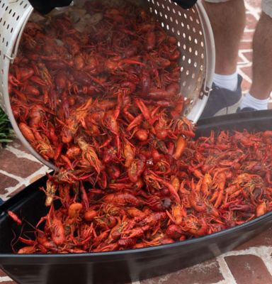 Image showing  Aluminum Boiling Pot with Drain Valve, 160 qt.