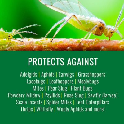 Image showing  Insecticidal Soap Ready to Use, 706230A