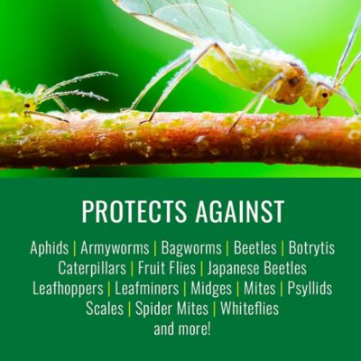 Image showing  Neem Oil Ready to Use, 820040A