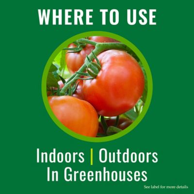 Image showing  Insecticidal Soap Ready to Use, 820042A