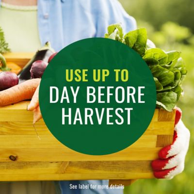 Image showing 5 th Natria Insecticidal Soap Ready to Use, 820042A