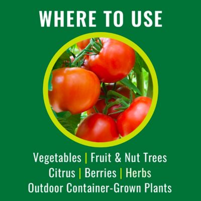 Image showing  Tomato Vegetable & Fruit Insect Control Ready to Use, 820047B