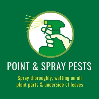 Image showing  Houseplant Insect Killer Ready to Use, 820048B