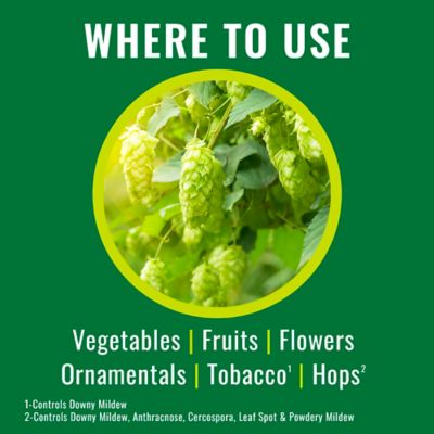 Image showing  Disease Control Spray Ready to Use, 820049B