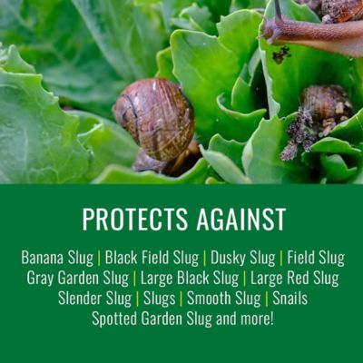 Image showing  1.5 lb. Snail and Slug Killer Bait