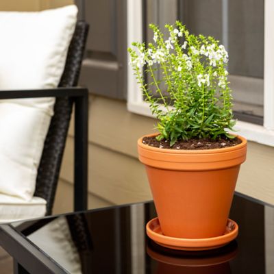 Image showing 5 th Border Concepts 0.0359 cu. ft. Terra Cotta Planter, 6 in.