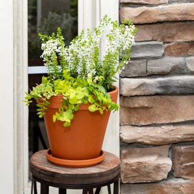Image showing  0.47 lb. Terra Cotta Planter, 8 in.