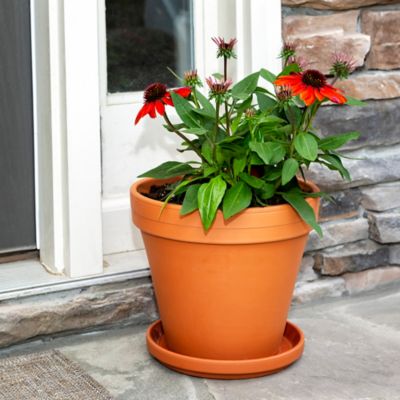 Image showing 5 th Border Concepts 1.04 lb. Terra Cotta Planter, 10 in.