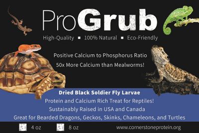 Image showing  Dried Black Soldier Fly Larvae 4 oz. Reptile Food