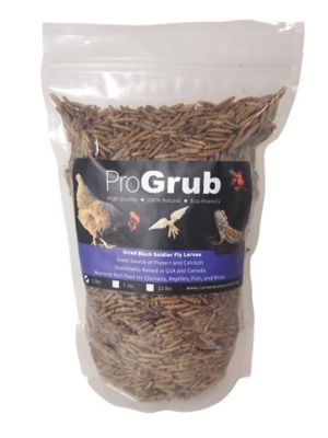 ProGrub Black Soldier Fly Larvae Poultry Treats, 1 lb.