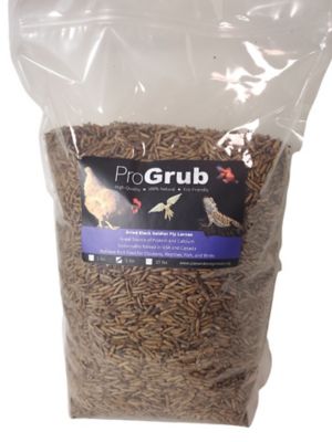 ProGrub Black Soldier Fly Larvae Poultry Treats