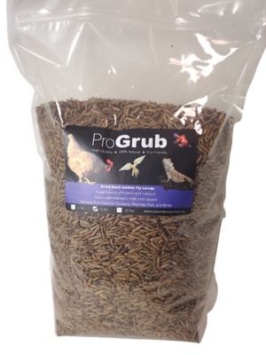 ProGrub Black Soldier Fly Larvae Poultry Treats, 5 lb.