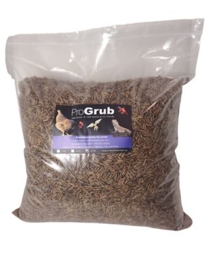 ProGrub Black Soldier Fly Larvae Poultry Treats, 10 lb.