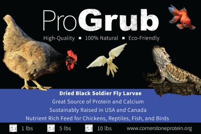 Image showing  Black Soldier Fly Larvae Poultry Treats