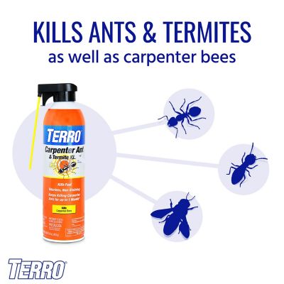 Image showing  16 oz. Carpenter Ant & Termite Killer