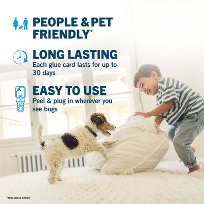 Image showing  Indoor Plug-In Fly Trap