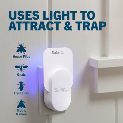 Image showing  Indoor Plug-In Fly Trap