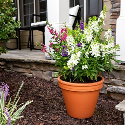 Image showing  1.74 lb. Terra Cotta Planter, 12 in.