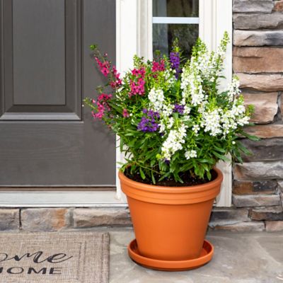 Image showing 5 th Border Concepts 1.74 lb. Terra Cotta Planter, 12 in.