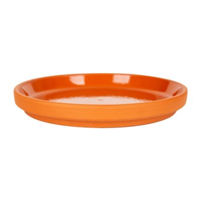 Border Concepts Terra Cotta Glazed Saucer, 5.5 in.