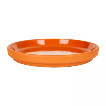 Border Concepts Glazed Terracotta Saucer 5.5 in. Plant Stands & Accessories