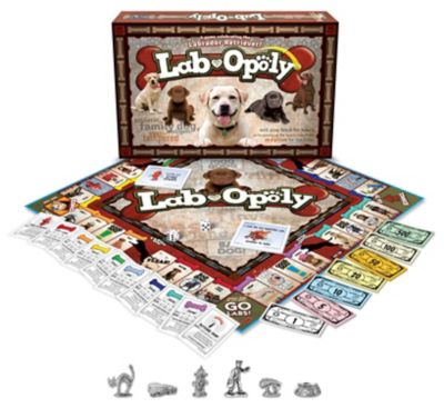 Late For the Sky Lab-Opoly Board Game