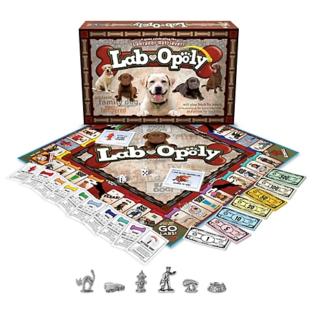 Late For the Sky Lab-Opoly Game