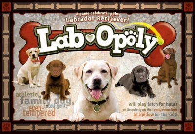 Image showing  Lab-Opoly Board Game, 2-6 Players, For Ages 8+