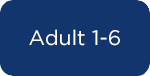 Adult 1-6 years