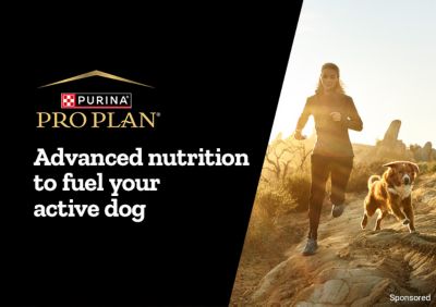 Purina Pro Plan. Advanced nutrition to fuel your active dog