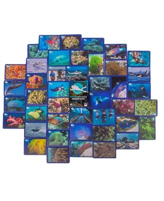 Image showing  Virtual Reef Diver: Tabletop Edition. Educational Memory Card Game, BGM005-1