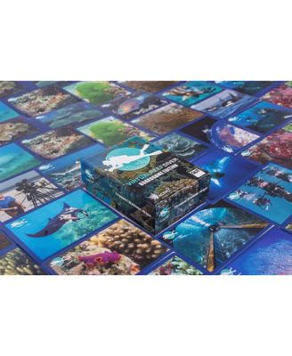 Image showing  Virtual Reef Diver: Tabletop Edition. Educational Memory Card Game, BGM005-1