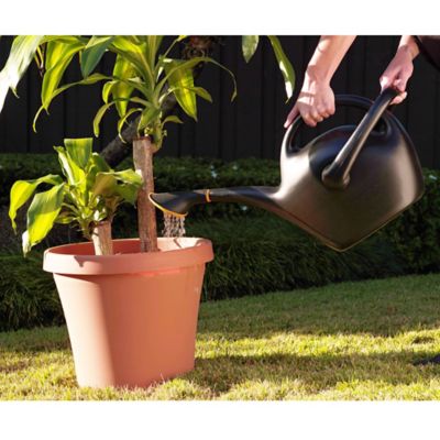 Image showing 7 th Bloem 2.6 gal. Watering Can, Easy Pour, 333 fl. oz., Black
