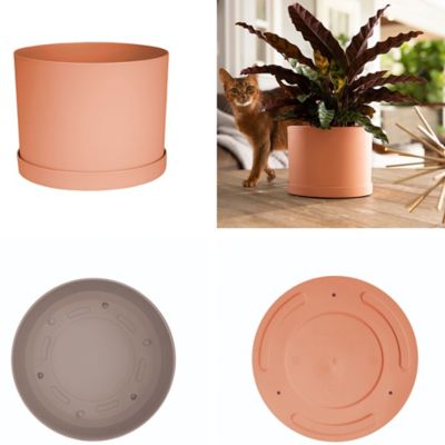 Image showing  Mathers Planter with Saucer Tray 8 in., MAT0847