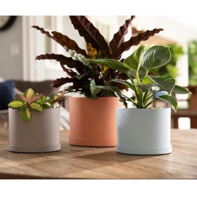 Image showing  Mathers Planter with Saucer Tray 6 in., MAT0647