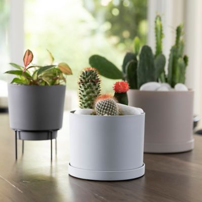 Image showing  Mathers Planter with Saucer Tray 6 in., MAT0637