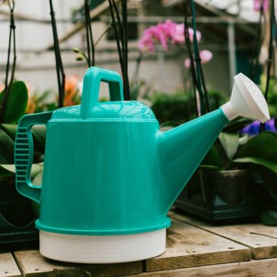 Image showing  Watering Can Deluxe 2 gal. (256 fl. oz.), DWC2-26