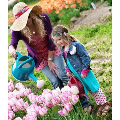 Image showing 5 th Bloem Watering Can Deluxe 2 gal. (256 fl. oz.), DWC2-26