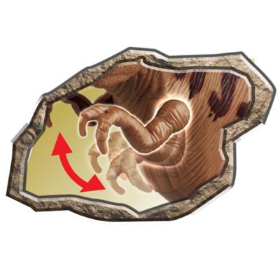 Image showing 5 th Red Box Pre-Historic Times: Multi Action T-Rex Light and Sounds Toy