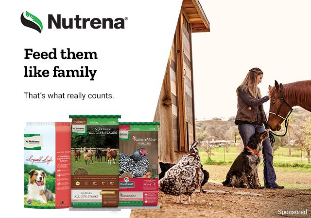 Nutrena. Feed them like family, that's what really counts.