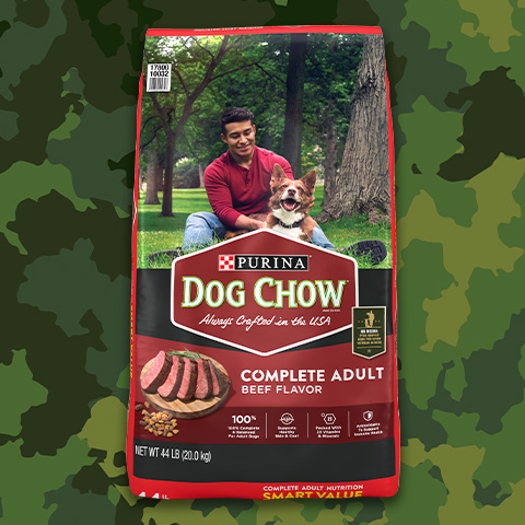 Beef Flavor Dog Food