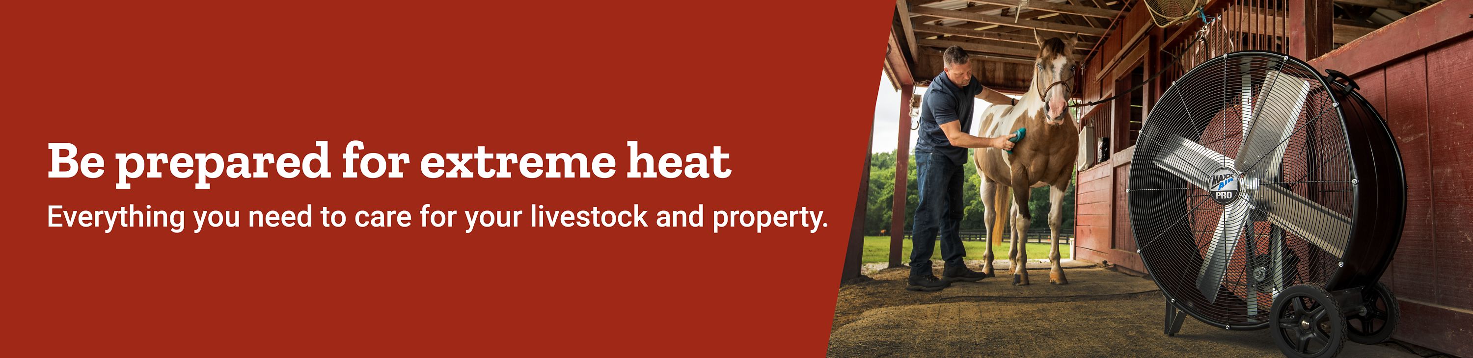 Weather Banner