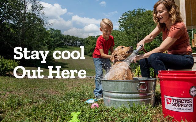 Stay cool out here. Save on Lifetime Sit-on-top Kayak, ShelterLogic Canopy and CountyLine 40 Gallon Stock Tank